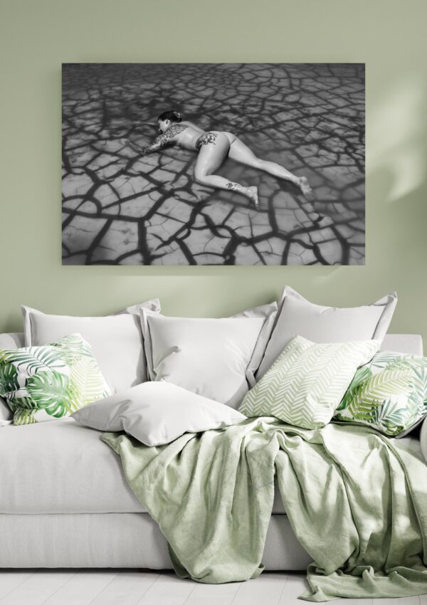 Black and white boudoir image in pond with cracks in the mud